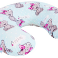 Cover For Feeding Pillow Baby Nursing Breastfeeding Teddy Girl Bear Mint